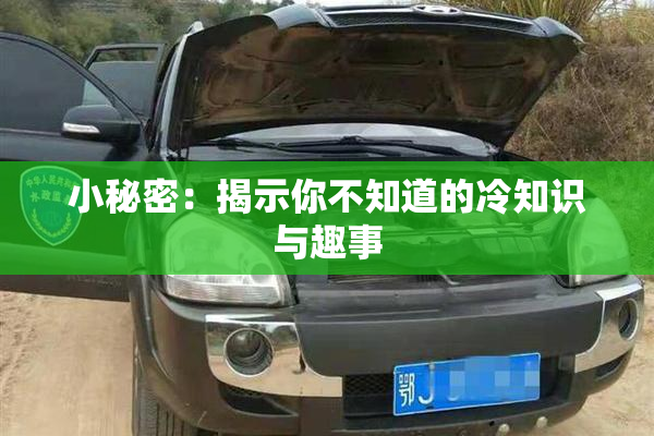 小秘密：揭示你不知道的冷知识与趣事