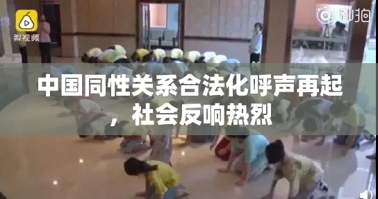 中国同性关系合法化呼声再起，社会反响热烈