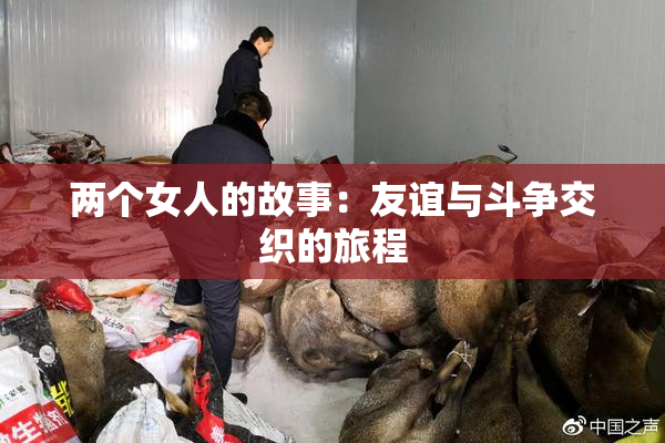 两个女人的故事：友谊与斗争交织的旅程