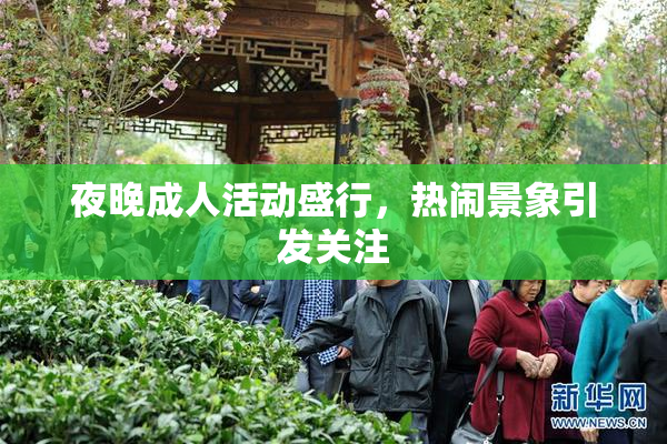 夜晚成人活动盛行，热闹景象引发关注