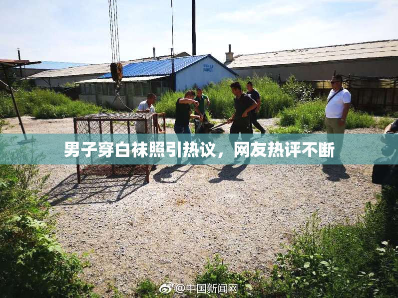 男子穿白袜照引热议，网友热评不断