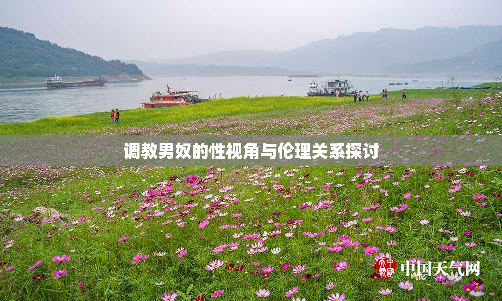 调教男奴的性视角与伦理关系探讨