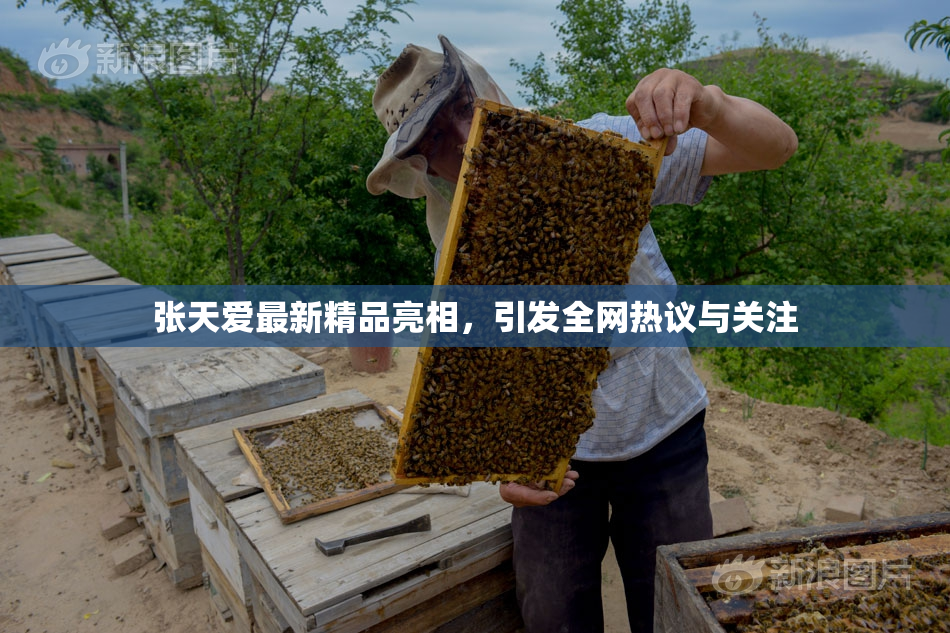 张天爱最新精品亮相，引发全网热议与关注