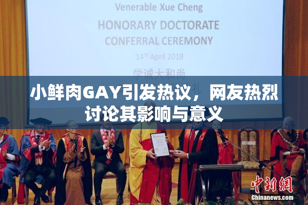小鲜肉GAY引发热议，网友热烈讨论其影响与意义