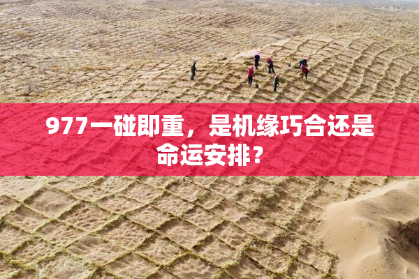 977一碰即重，是机缘巧合还是命运安排？