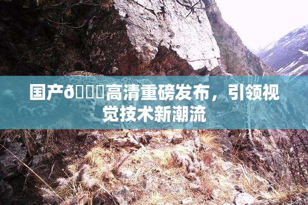 国产🍑高清重磅发布，引领视觉技术新潮流