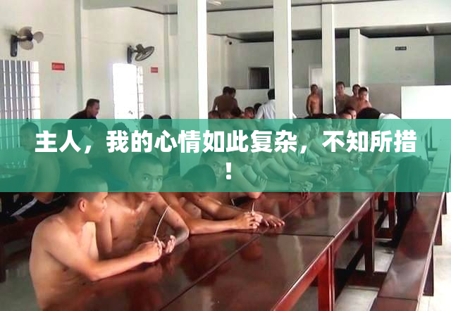 主人，我的心情如此复杂，不知所措！