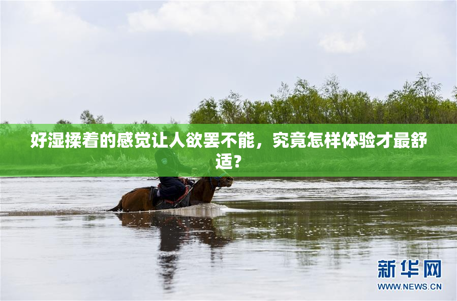 好湿揉着的感觉让人欲罢不能，究竟怎样体验才最舒适？