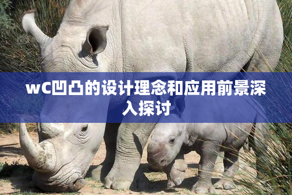 wC凹凸的设计理念和应用前景深入探讨