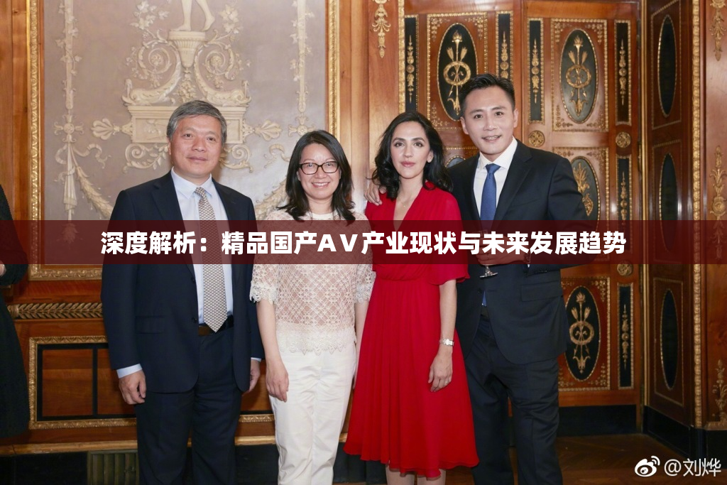 深度解析：精品国产AⅤ产业现状与未来发展趋势