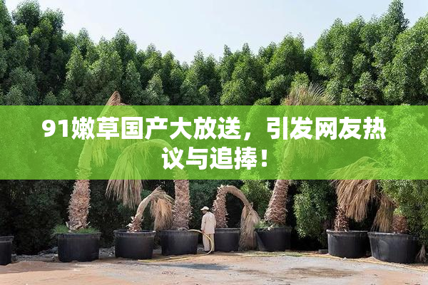 91嫩草国产大放送，引发网友热议与追捧！