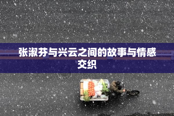 张淑芬与兴云之间的故事与情感交织