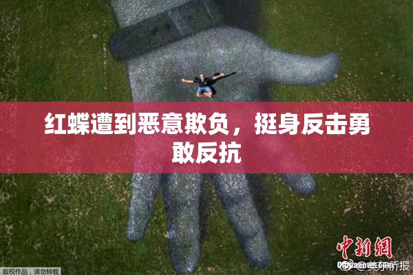 红蝶遭到恶意欺负，挺身反击勇敢反抗