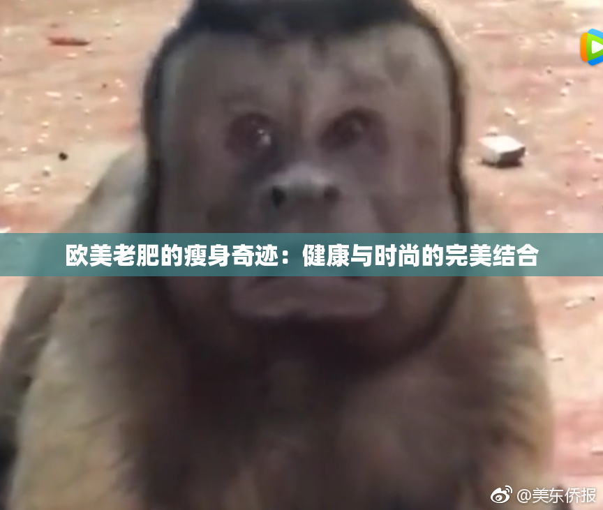 欧美老肥的瘦身奇迹：健康与时尚的完美结合