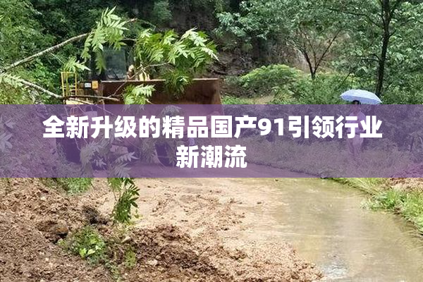全新升级的精品国产91引领行业新潮流