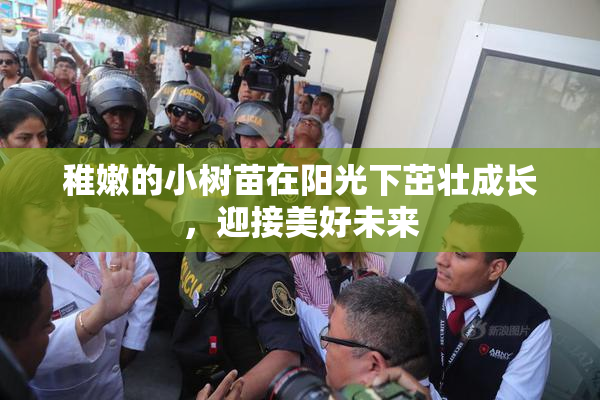 稚嫩的小树苗在阳光下茁壮成长，迎接美好未来