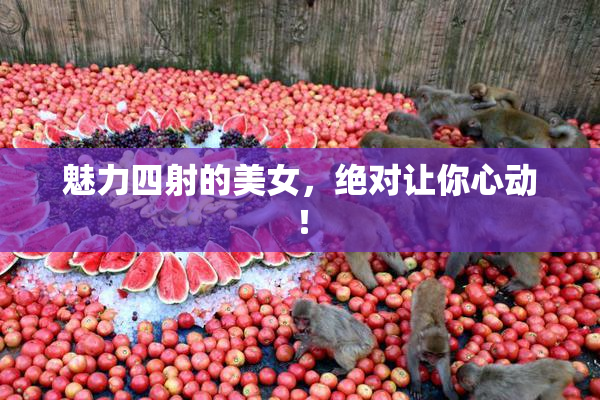 魅力四射的美女，绝对让你心动！