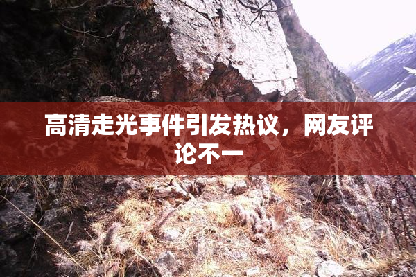高清走光事件引发热议，网友评论不一