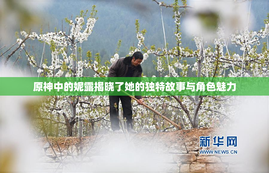 原神中的妮露揭晓了她的独特故事与角色魅力