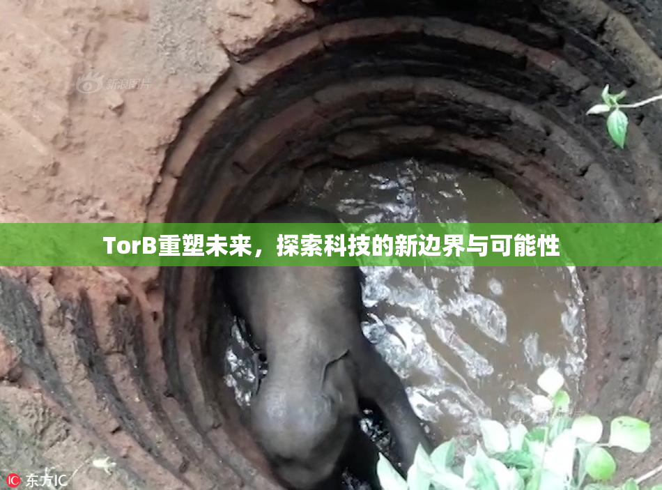 TorB重塑未来，探索科技的新边界与可能性