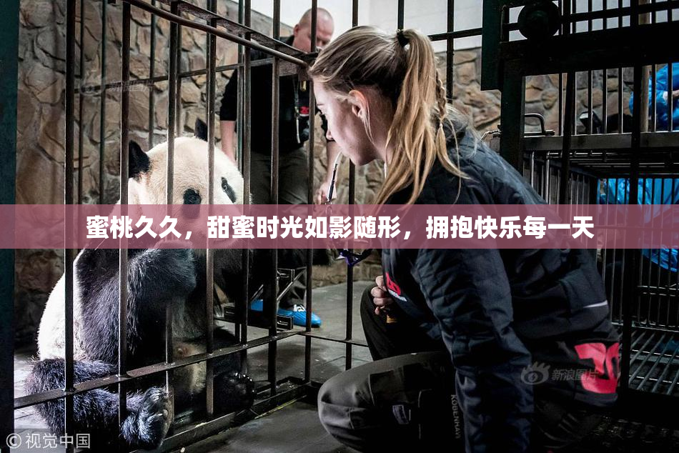 蜜桃久久，甜蜜时光如影随形，拥抱快乐每一天