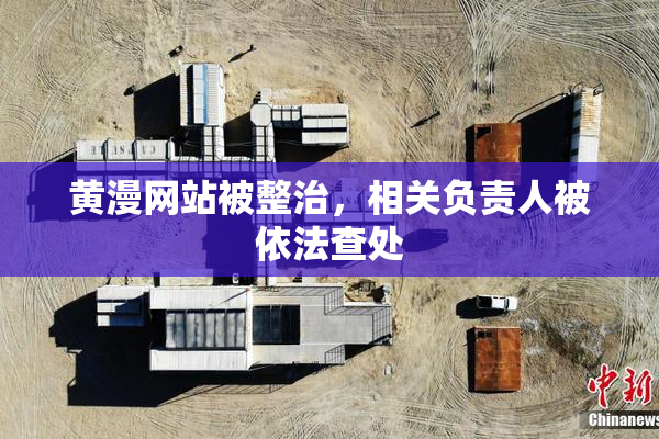 黄漫网站被整治，相关负责人被依法查处