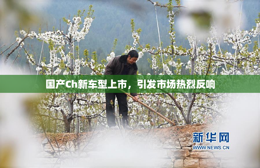 国产Ch新车型上市，引发市场热烈反响