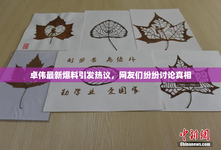 卓伟最新爆料引发热议，网友们纷纷讨论真相