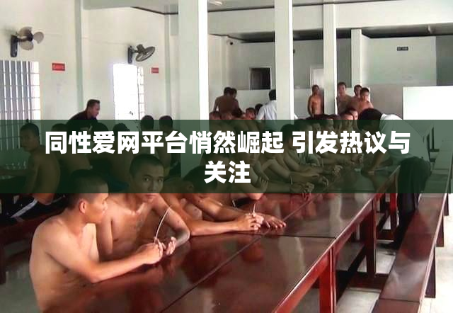 同性爱网平台悄然崛起 引发热议与关注