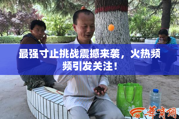 最强寸止挑战震撼来袭，火热频频引发关注！