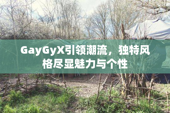 GayGyX引领潮流，独特风格尽显魅力与个性