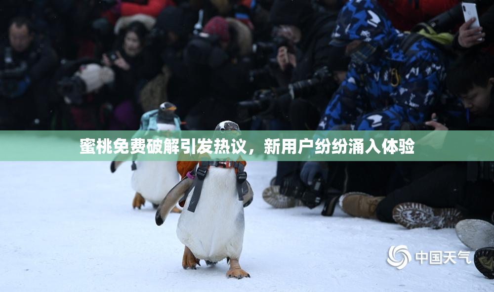 蜜桃免费破解引发热议，新用户纷纷涌入体验