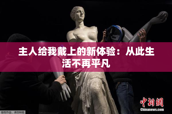 主人给我戴上的新体验：从此生活不再平凡