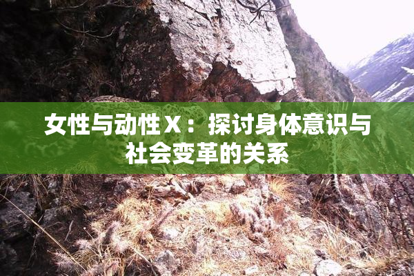女性与动性Ⅹ：探讨身体意识与社会变革的关系