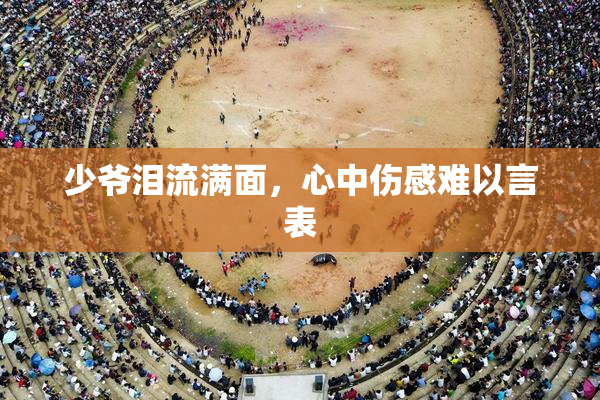 少爷泪流满面，心中伤感难以言表