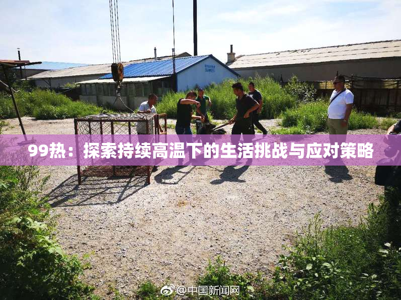 99热：探索持续高温下的生活挑战与应对策略