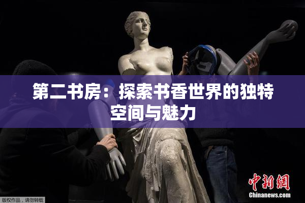 第二书房：探索书香世界的独特空间与魅力