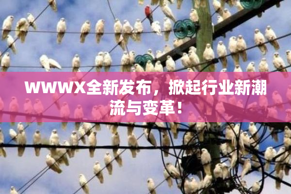 WWWX全新发布，掀起行业新潮流与变革！