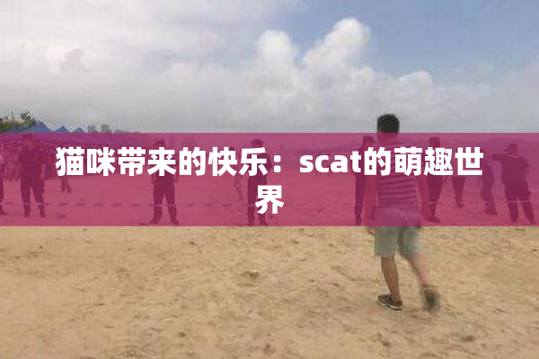 猫咪带来的快乐：scat的萌趣世界