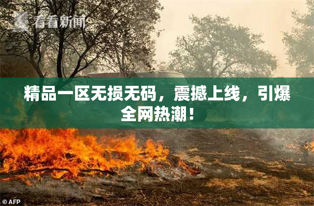 精品一区无损无码，震撼上线，引爆全网热潮！