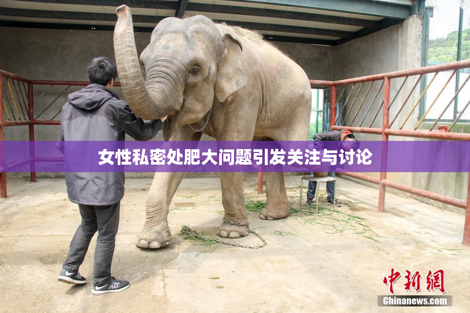 女性私密处肥大问题引发关注与讨论