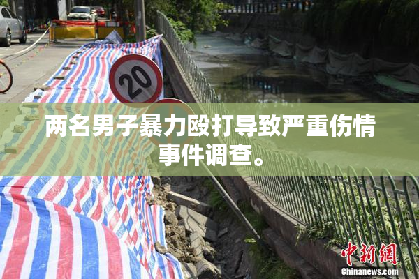 两名男子暴力殴打导致严重伤情事件调查。