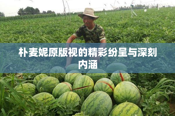 朴麦妮原版视的精彩纷呈与深刻内涵