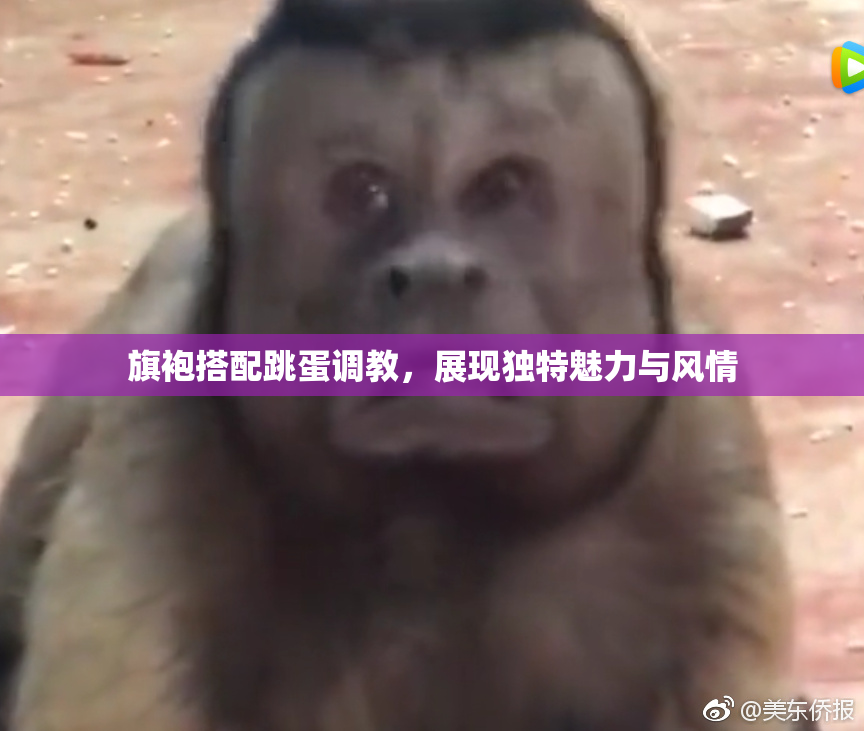 旗袍搭配跳蛋调教，展现独特魅力与风情