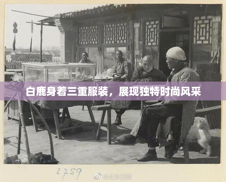 白鹿身着三重服装，展现独特时尚风采