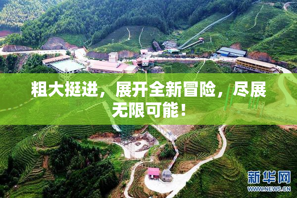 粗大挺进，展开全新冒险，尽展无限可能！