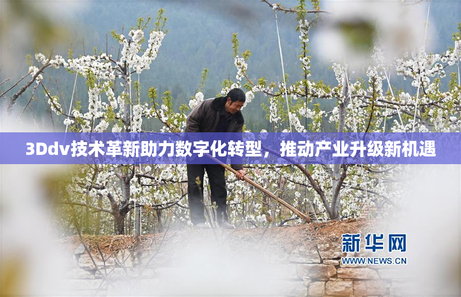 3Ddv技术革新助力数字化转型，推动产业升级新机遇