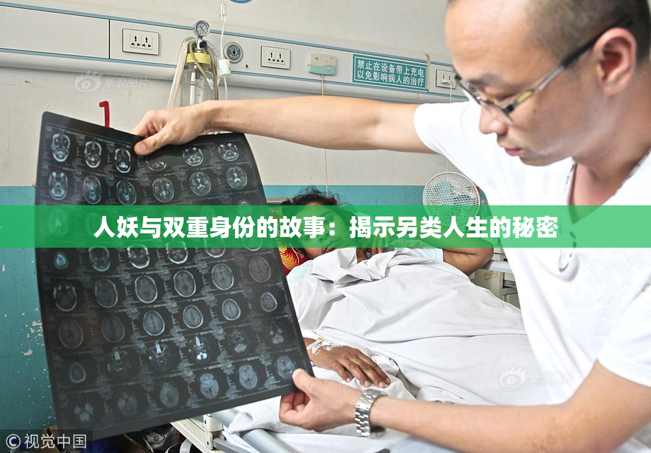 人妖与双重身份的故事：揭示另类人生的秘密