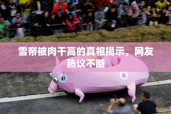 雪帝被肉干高的真相揭示，网友热议不断
