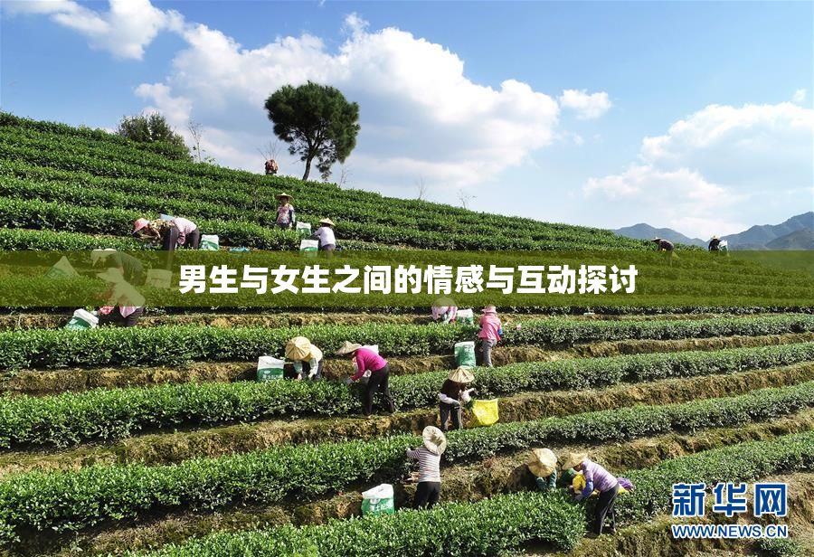 男生与女生之间的情感与互动探讨